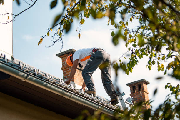 Best Roof Maintenance Services  in Cedarville, OH