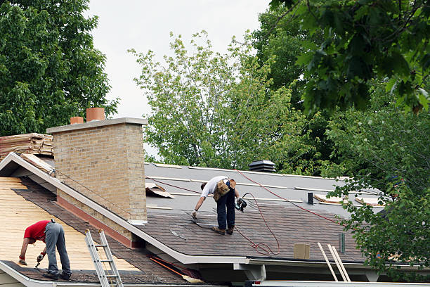 Best Roof Gutter Cleaning  in Cedarville, OH