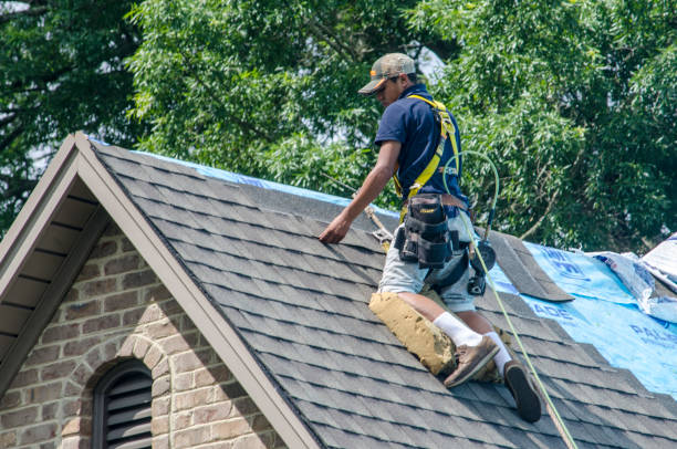 Best New Roof Installation  in Cedarville, OH